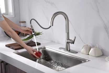 Ultra Faucets UF17003 Single-Handle Kitchen Faucet with Pull-Down Spray, Brushed Nickel