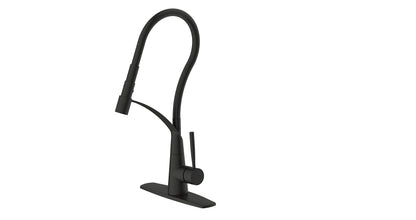 Ultra Faucets UF1790X Single-Handle Kitchen Faucet with Pull-Down Spray